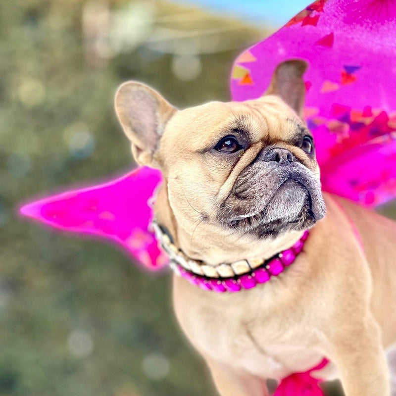 Dog Collar Rhinestone Necklace PU Leather Shiny Faux Diamond - PIKAPIKA