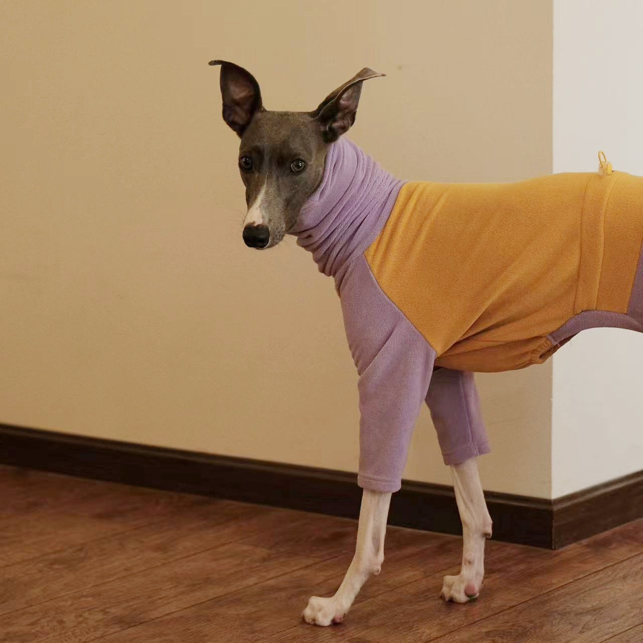 Dog Fleece Onesie Pajamas for Italian Greyhound Whippet Clothes - PIKAPIKA