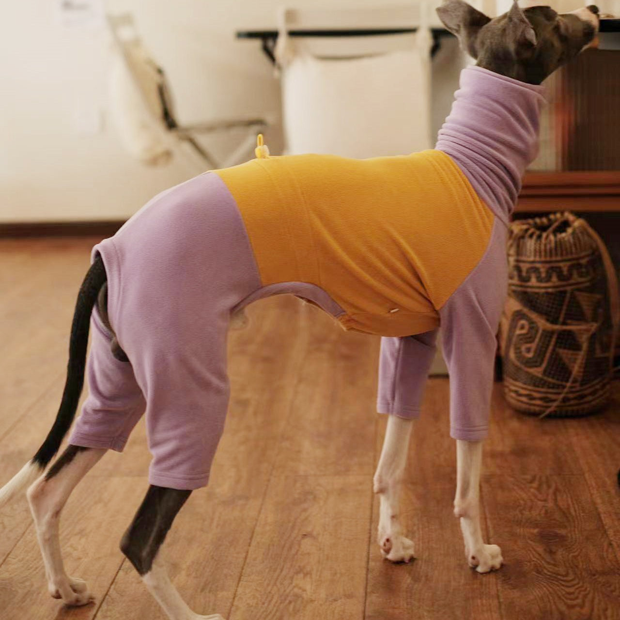 Dog Fleece Onesie Pajamas for Italian Greyhound Whippet Clothes - PIKAPIKA