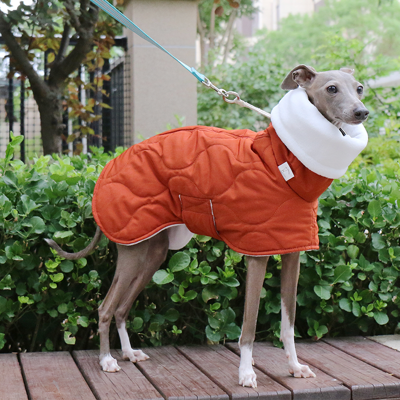 Dog Jacket Padded Coat Belly Protective for Italian Greyhound Whippet Clothes - PIKAPIKA