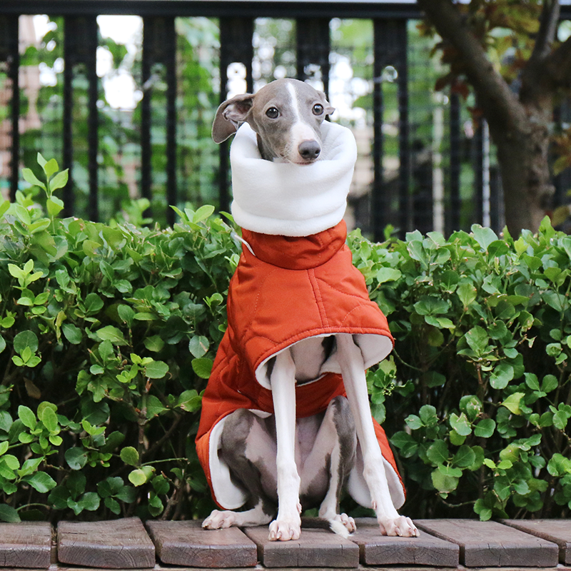 Dog Jacket Padded Coat Belly Protective for Italian Greyhound Whippet Clothes - PIKAPIKA