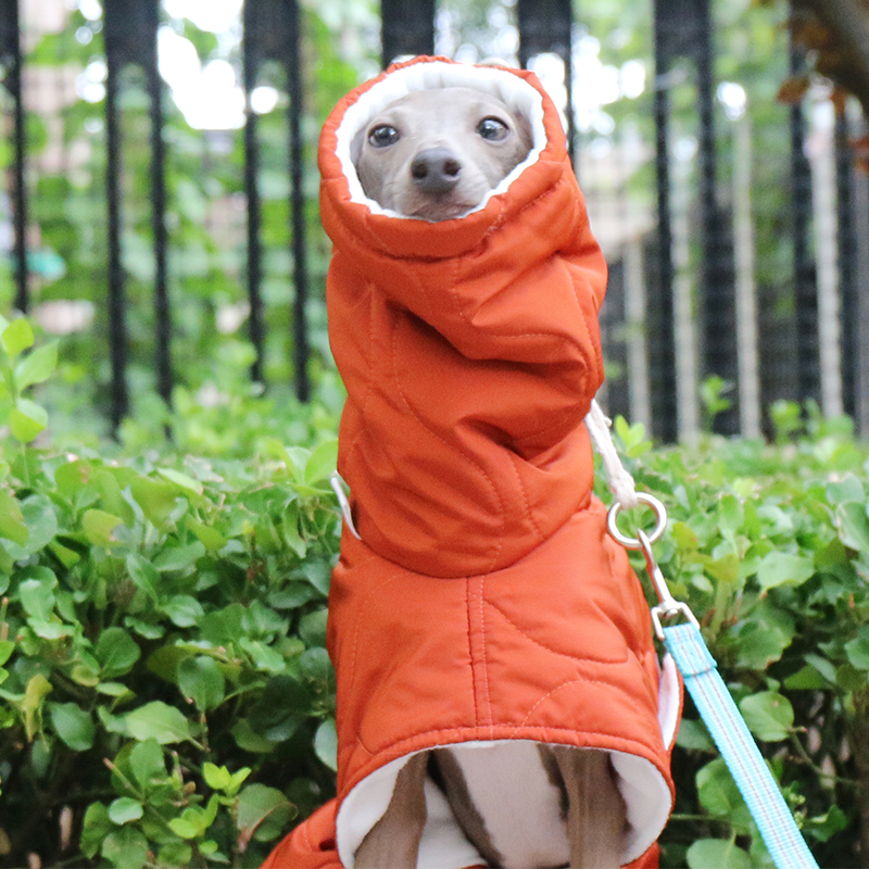 Dog Jacket Padded Coat Belly Protective for Italian Greyhound Whippet Clothes - PIKAPIKA