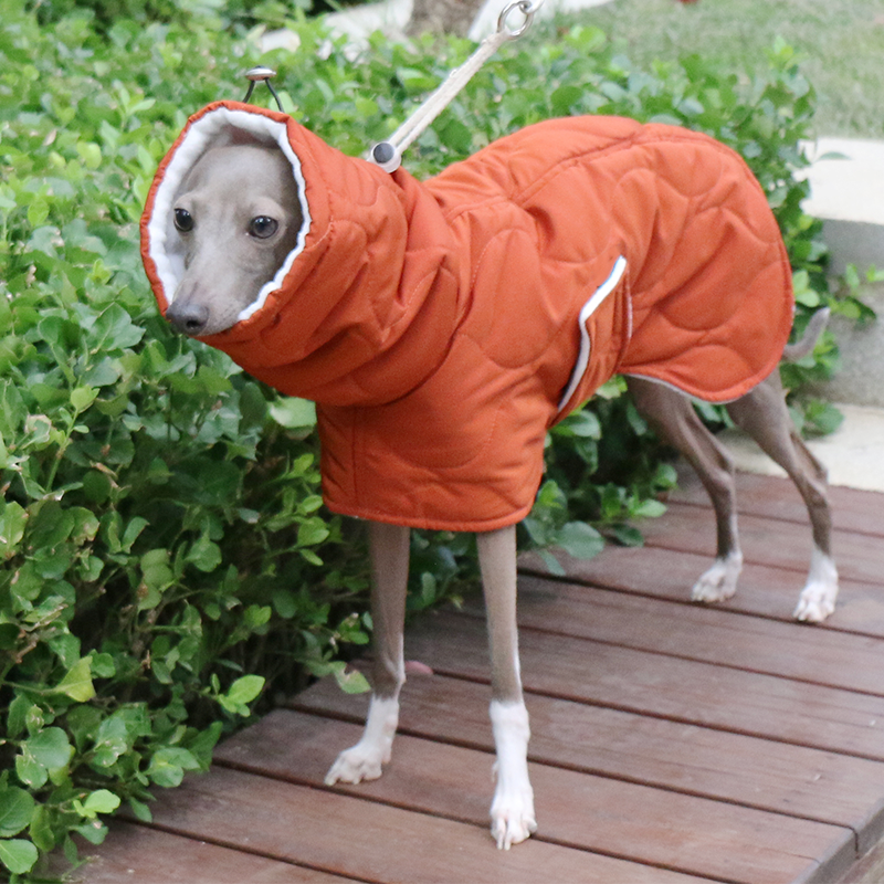 Dog Jacket Padded Coat Belly Protective for Italian Greyhound Whippet Clothes - PIKAPIKA