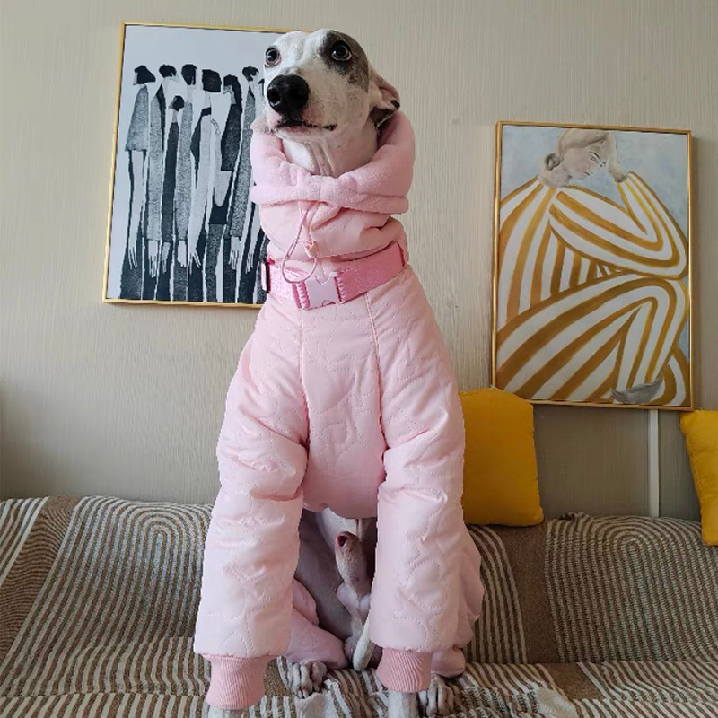 Padded Coat Parka Onesie for Italian greyhound Whippet Dog Clothes - PIKAPIKA
