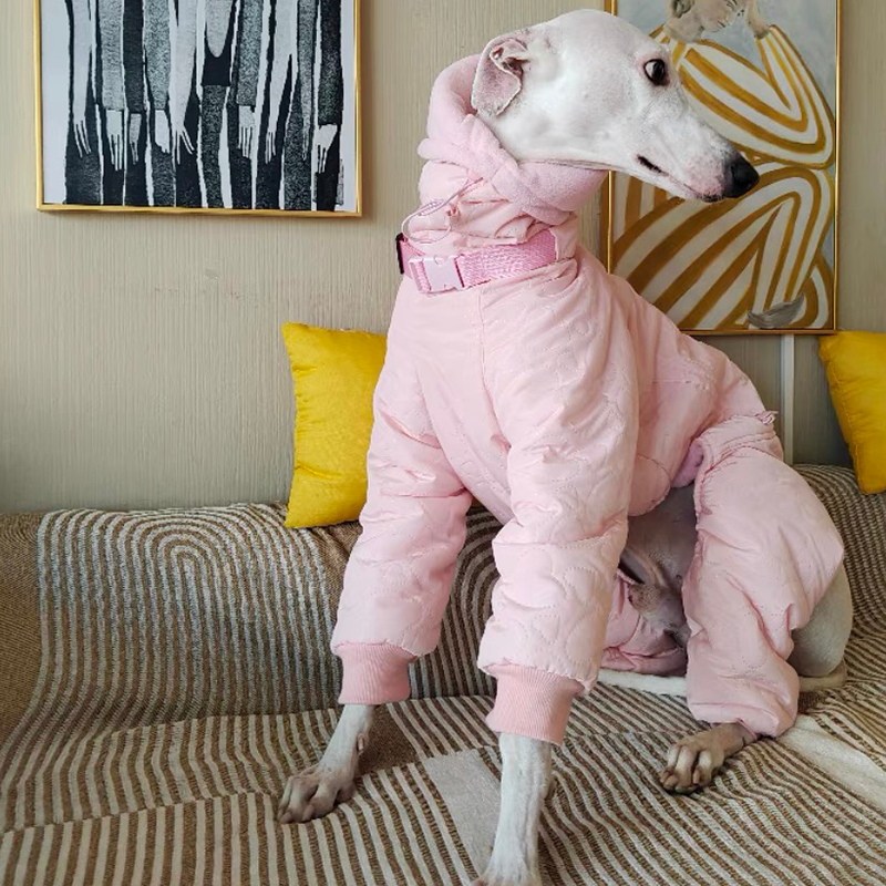 Cotton Padded Coat 4 Legs for Italian greyhound Whippet - PIKAPIKA