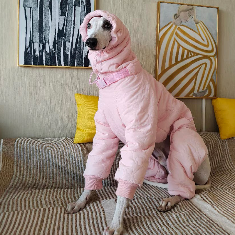 Padded Coat Parka Onesie for Italian greyhound Whippet Dog Clothes - PIKAPIKA