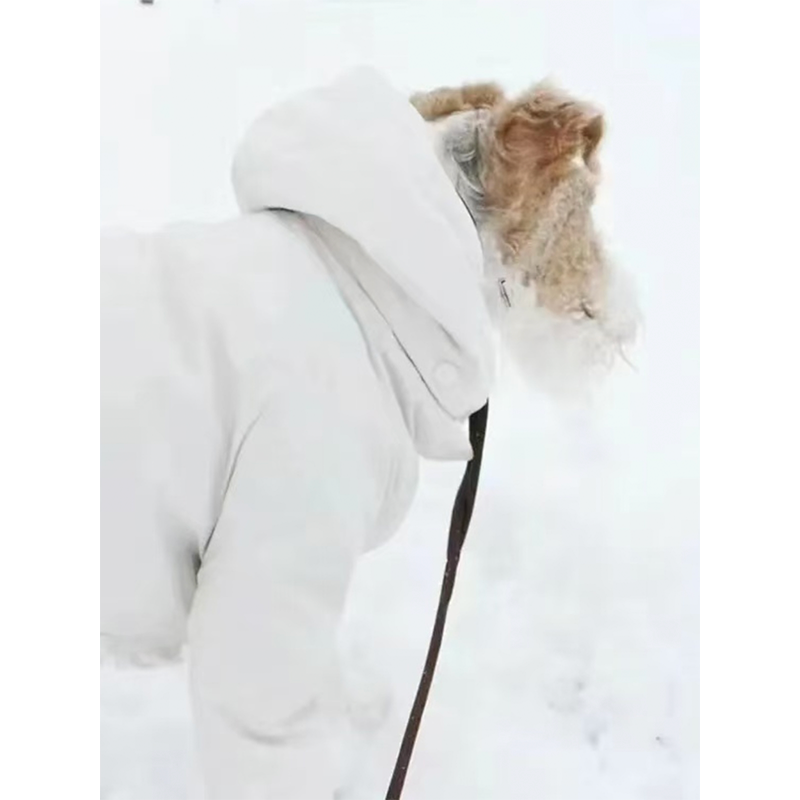 Dog Padded Jacket Snowsuits for Italian greyhound Whippet Clothes - PIKAPIKA