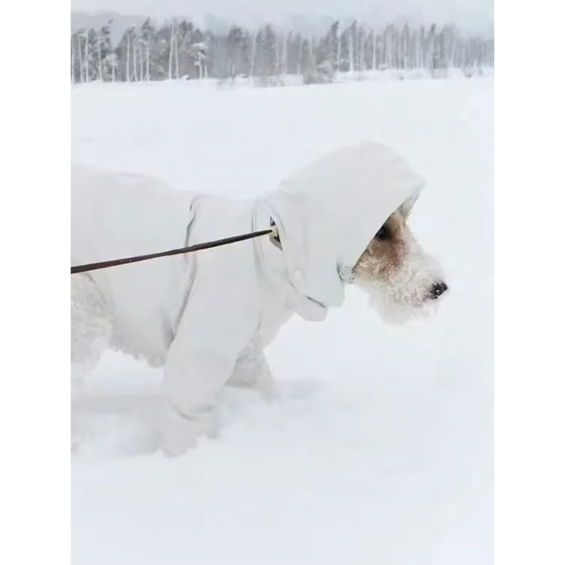 Dog Padded Jacket Snowsuits for Italian greyhound Whippet Clothes - PIKAPIKA