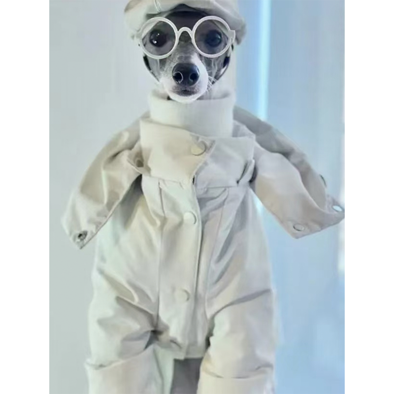 Dog Padded Jacket Snowsuits for Italian greyhound Whippet Clothes - PIKAPIKA