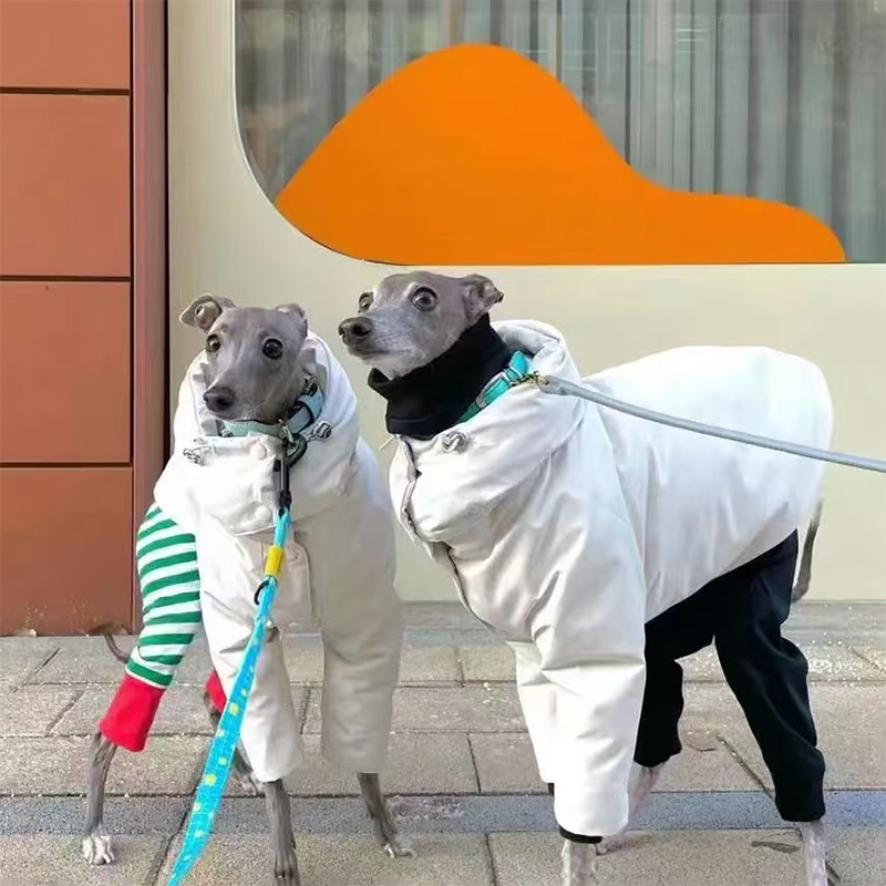 Dog Padded Jacket Snowsuits for Italian greyhound Whippet Clothes - PIKAPIKA