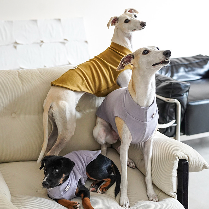 Dog Shirts Casual Tank Top for Italian Greyhound Whippet Clothes - PIKAPIKA