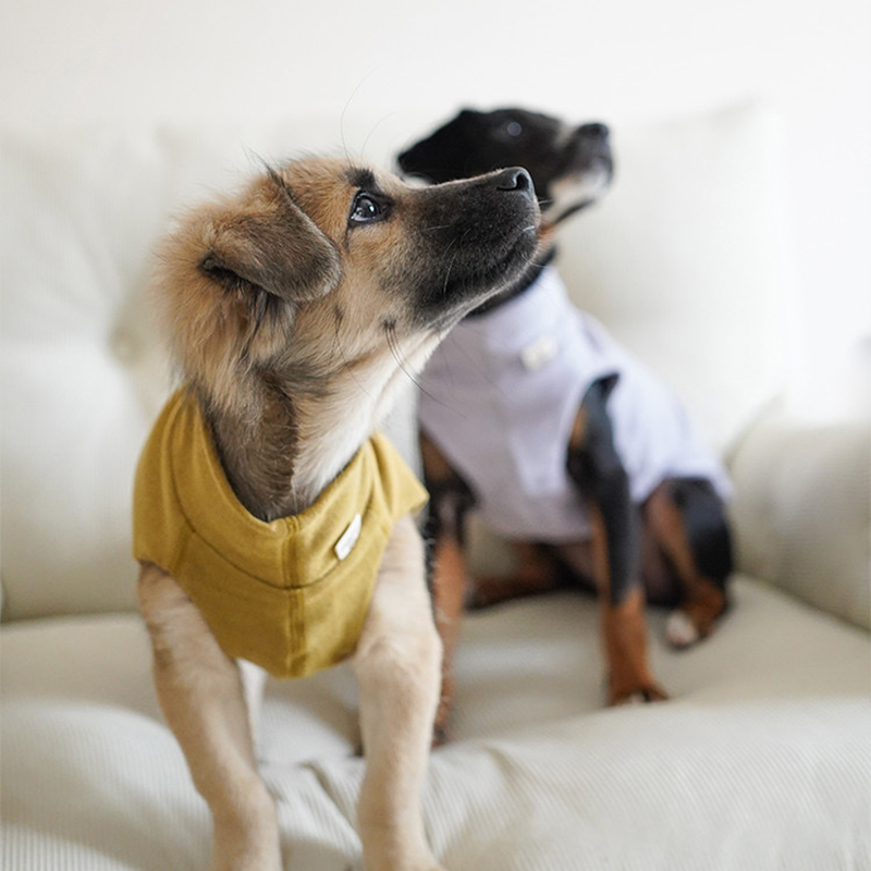 Dog Shirts Casual Tank Top for Italian Greyhound Whippet Clothes - PIKAPIKA