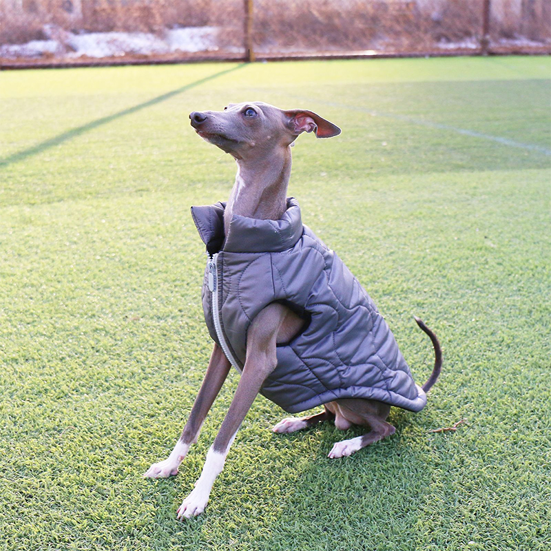 Dog Winter Padded Jacket Vest for Italian greyhound Whippet Clothes - PIKAPIKA