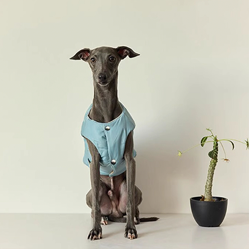 Double side Padded Jacket Vest for Italian greyhound Whippet Dog Clothes - PIKAPIKA