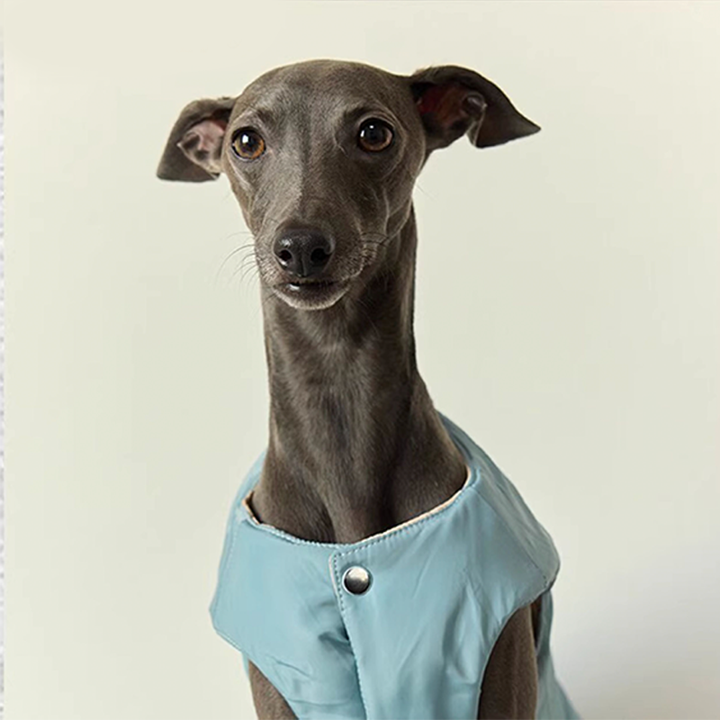 Double side Padded Jacket Vest for Italian greyhound Whippet Dog Clothes - PIKAPIKA