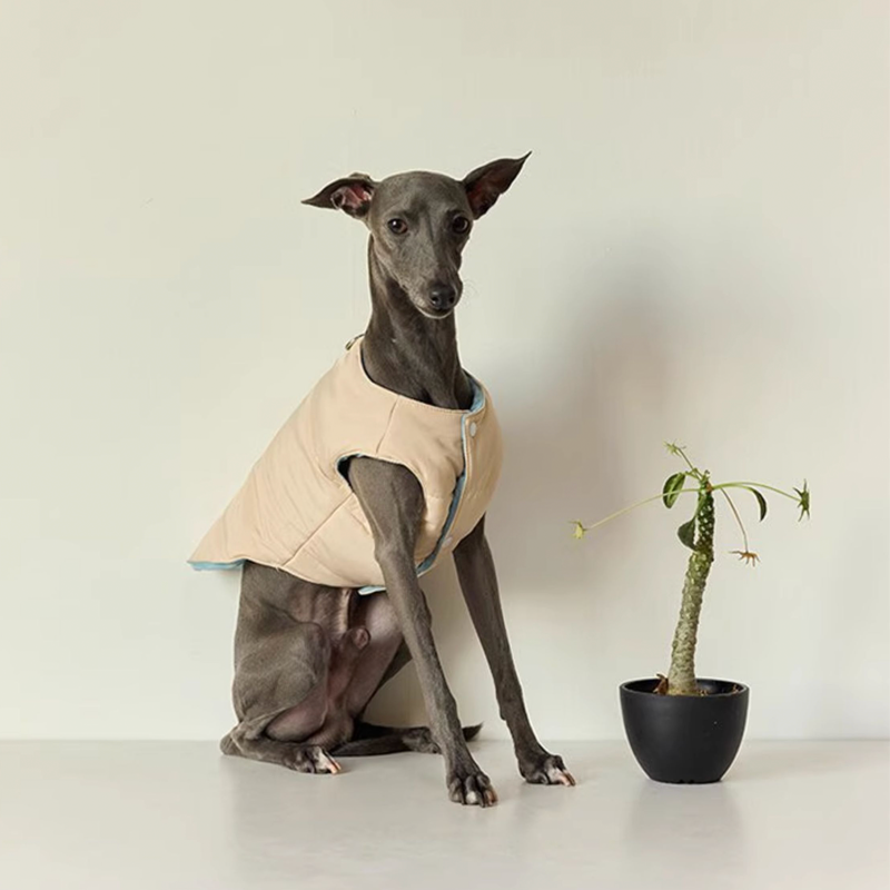 Double side Padded Jacket Vest for Italian greyhound Whippet Dog Clothes - PIKAPIKA