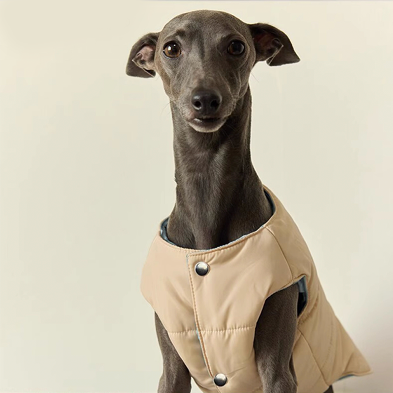 Double side Padded Jacket Vest for Italian greyhound Whippet Dog Clothes - PIKAPIKA