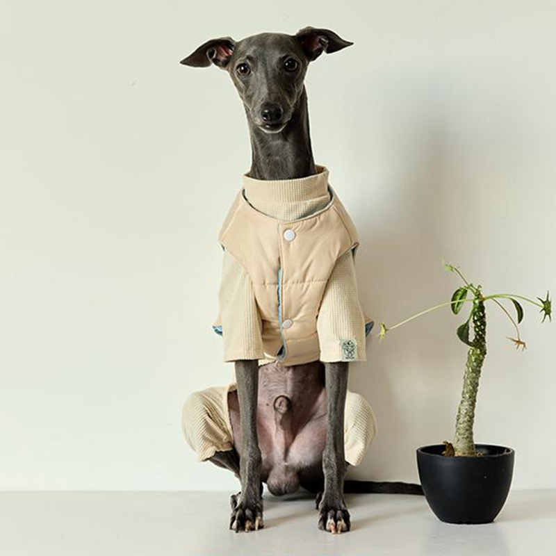 Double side Padded Jacket Vest for Italian greyhound Whippet Dog Clothes - PIKAPIKA