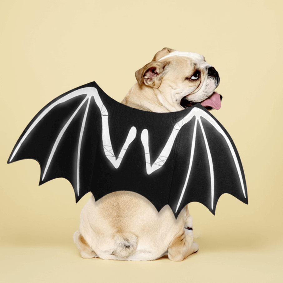 Halloween Pet Bat Wings Costume | Funny Glow-in-the-Dark Cat Dog Outfit | Spooky Cosplay Dress Up Accessories