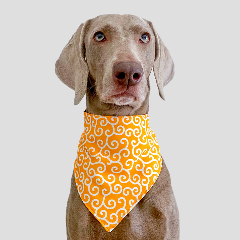 Geometric Print Triangle Scarf Dog Bib Bandanas - PIKAPIKA