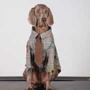 Preppy Retro Big Dog Clothes Cotton Shirts with Tie - PIKAPIKA