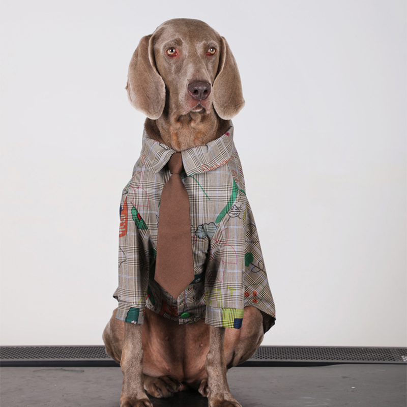 Preppy Retro Big Dog Clothes Cotton Shirts with Tie - PIKAPIKA