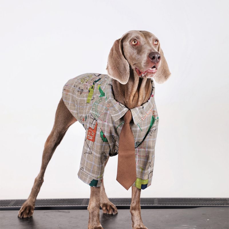 Preppy Retro Big Dog Clothes Cotton Shirts with Tie - PIKAPIKA