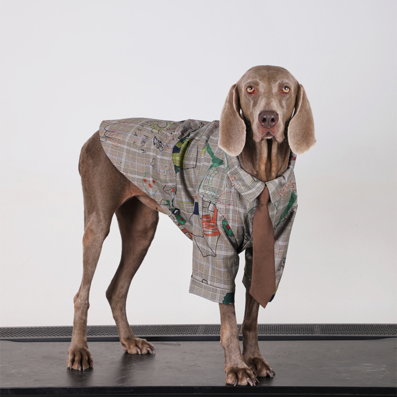 Preppy Retro Big Dog Clothes Cotton Shirts with Tie - PIKAPIKA