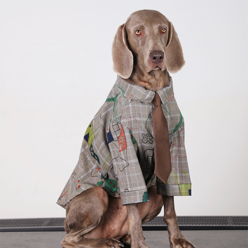 Preppy Retro Big Dog Clothes Cotton Shirts with Tie - PIKAPIKA