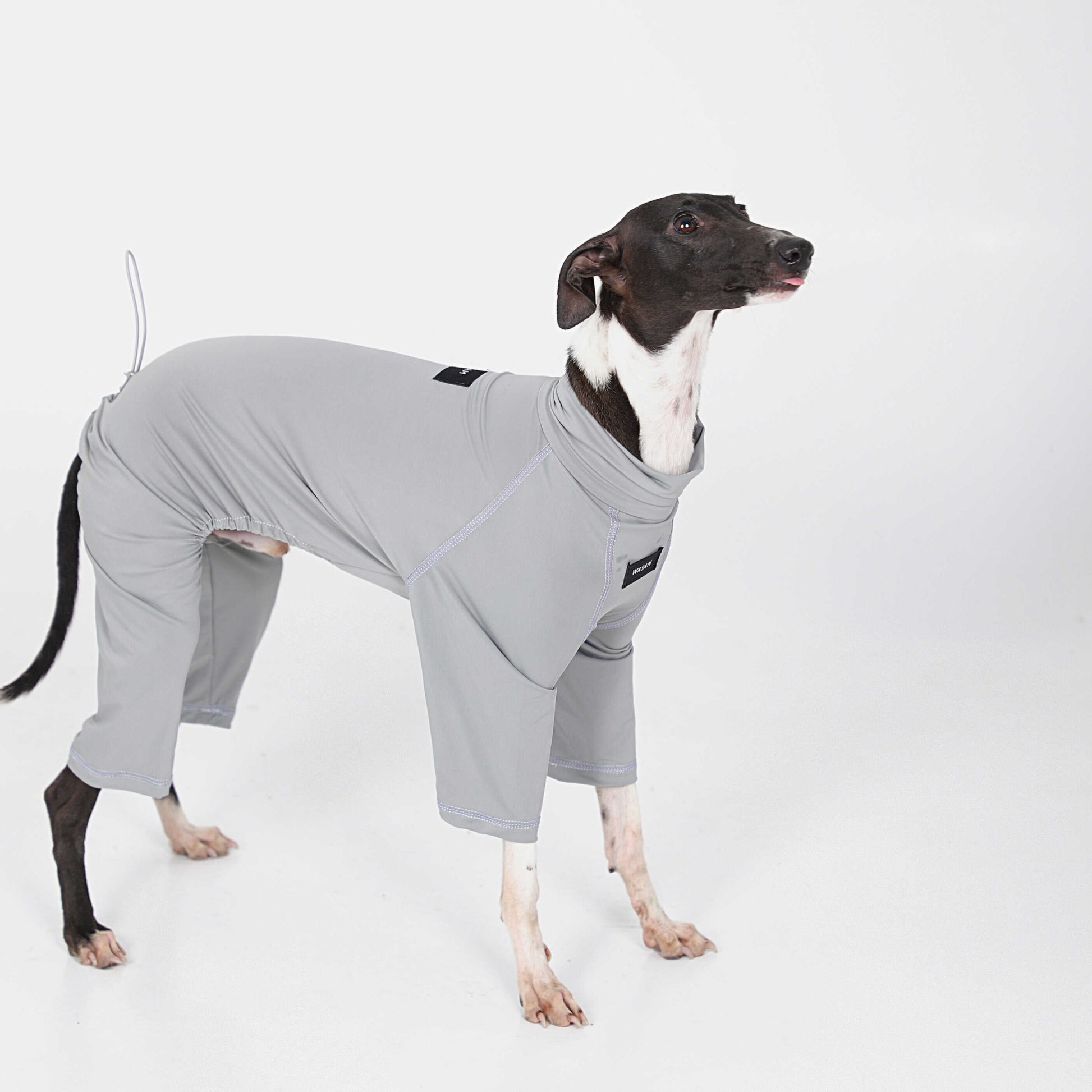 Cotton Soft Summer Onesie Italian Greyhound Whippet Dog Clothes - PIKAPIKA