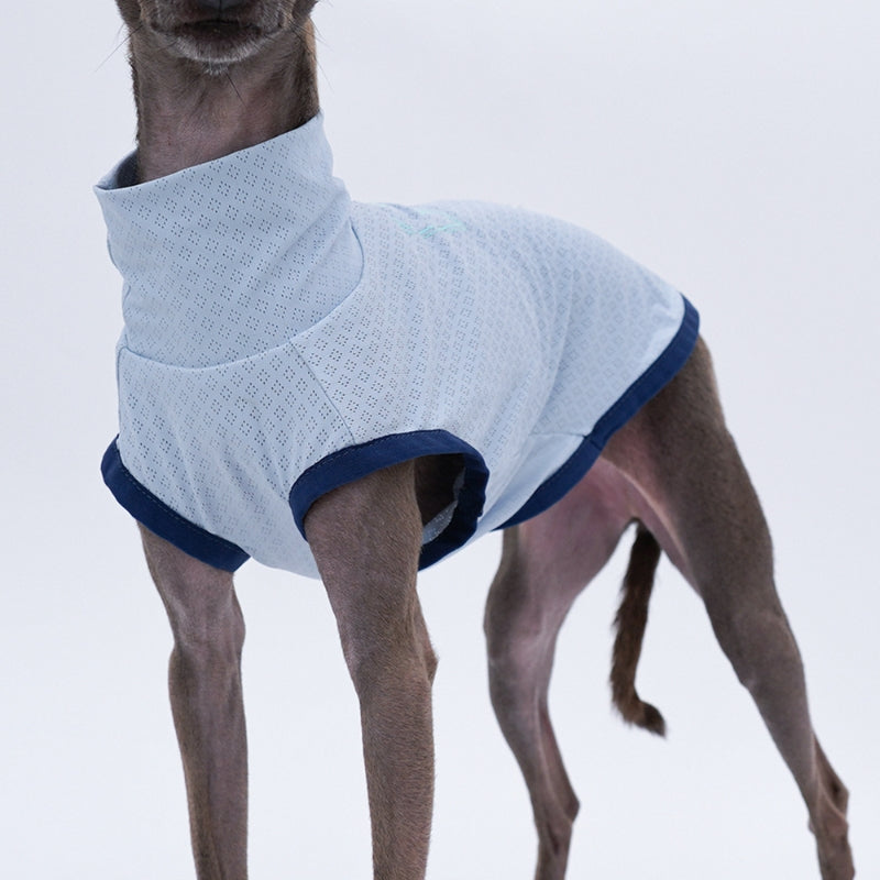 Turtleneck Sleeveless Tank Top for Italian greyhound whippet - PIKAPIKA