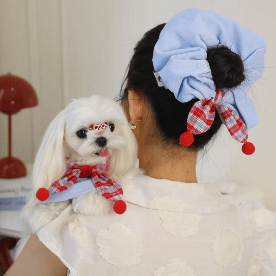 BELO Bow Dog Bib | Cute Pet Fashion Accessory