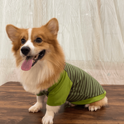 Corgi Striped Sweater – Soft Warm Dog Clothes
