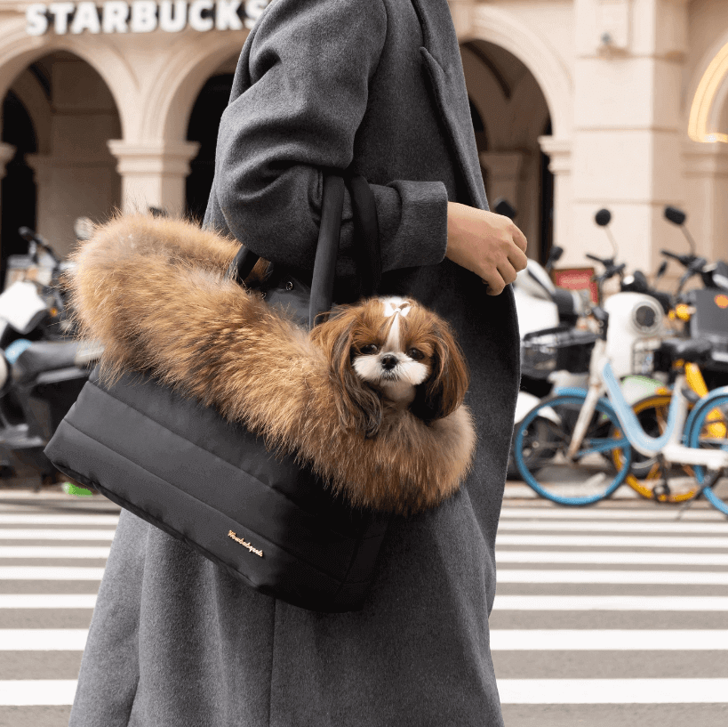 Pet Carrier, Weatherproof Winter Portable Cat Dog Travel Bag