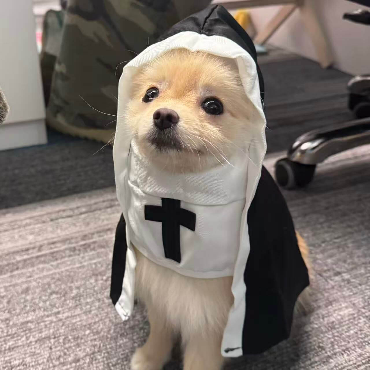 Funny Pet Nun Costume for Cats & Dogs | Cute Cosplay Outfit | Halloween Party Dress Up Photo Prop