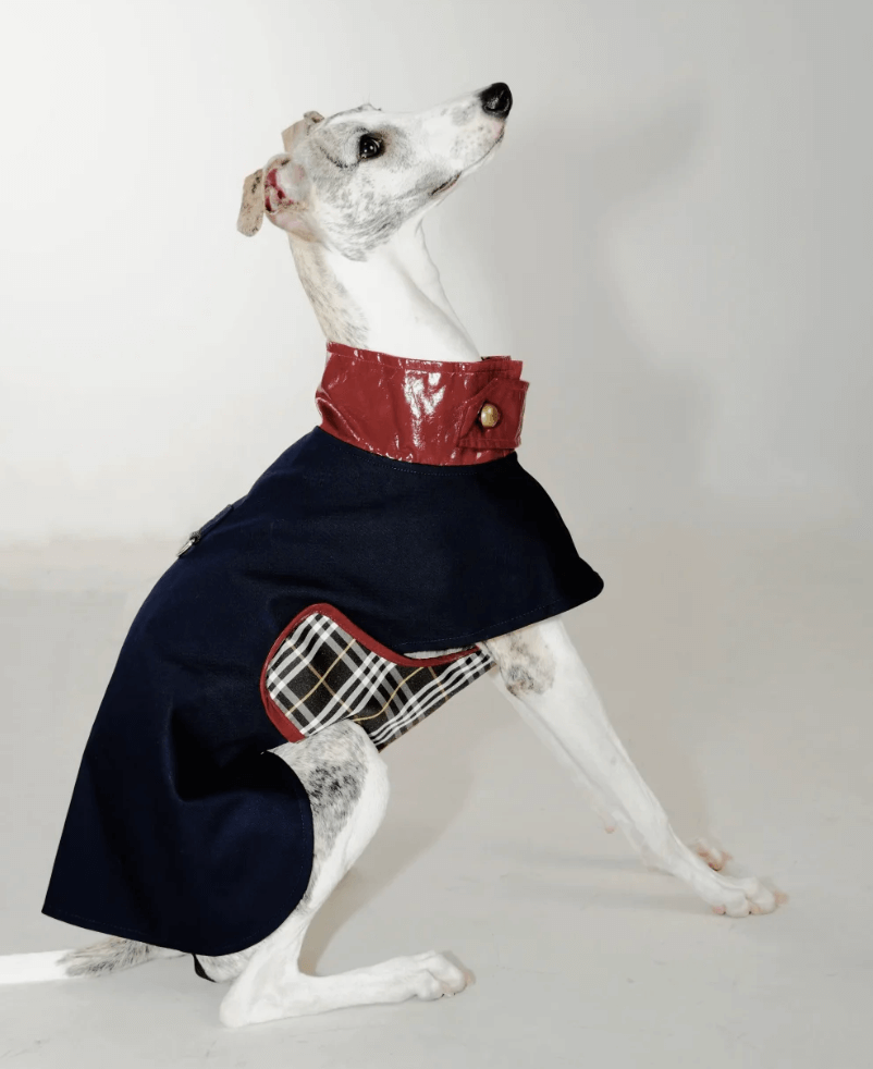 Adjustable Dog Trench Coat - Timeless Old Money Style