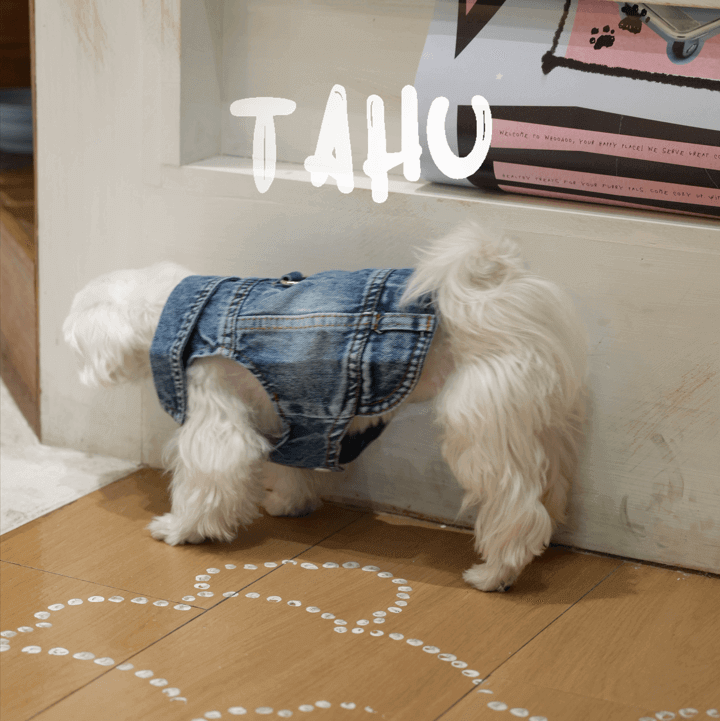 Classic Denim Dog Jacket – Stylish Blue Jean Coat for Pets
