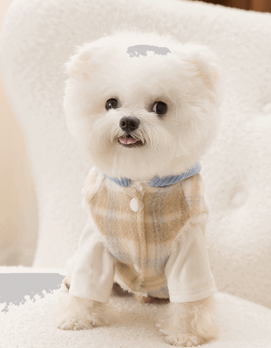 Dog Vest Plush Lined Checkerboard Hoodie with Leash Hole Gray Size XS-XXL