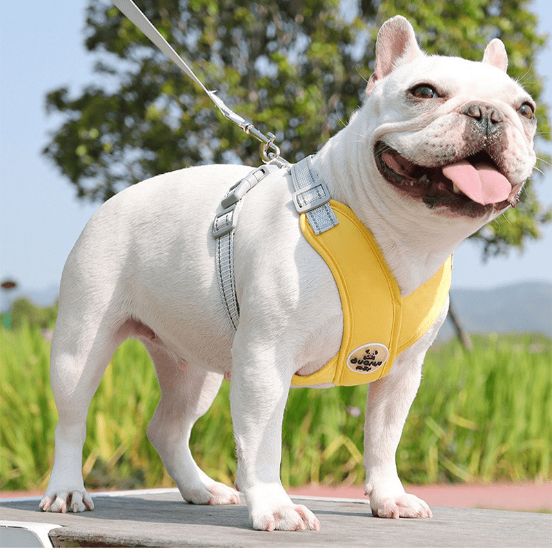 Adjustable Dog Harness Vest Strong Walking Leash for Medium Dogs - PIKAPIKA