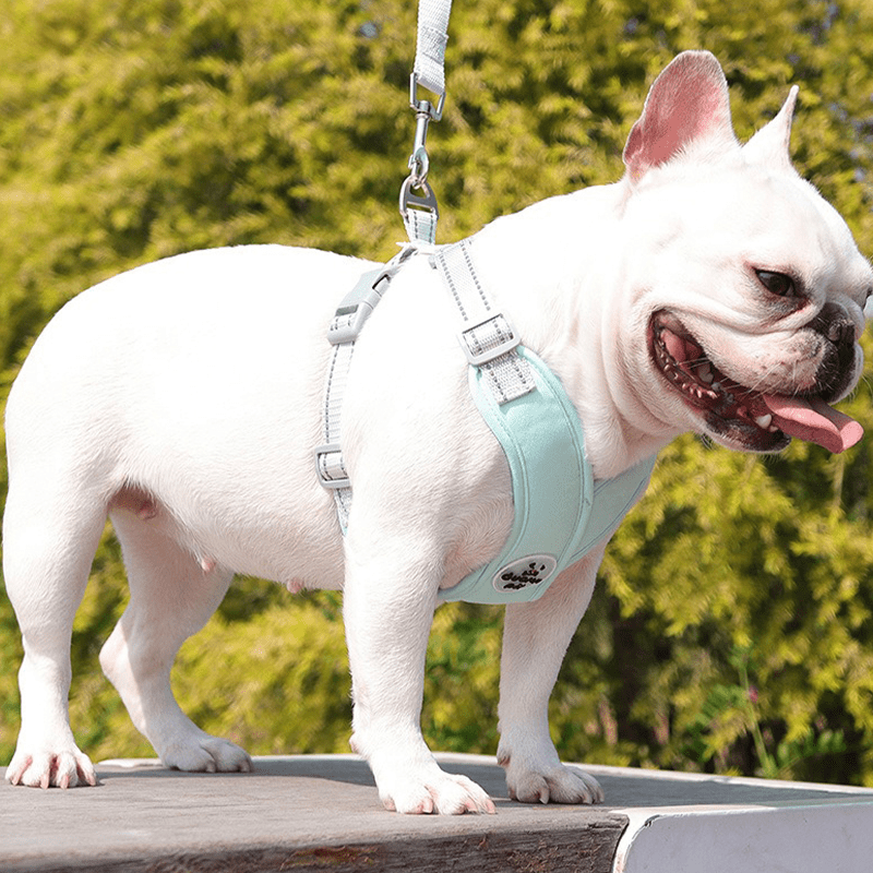 Adjustable Dog Harness Vest Strong Walking Leash for Medium Dogs - PIKAPIKA