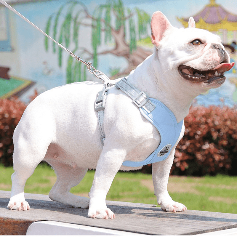 Adjustable Dog Harness Vest Strong Walking Leash for Medium Dogs - PIKAPIKA