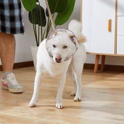 Adjustable Dogs Anti - Bite Space Helmet - PIKAPIKA