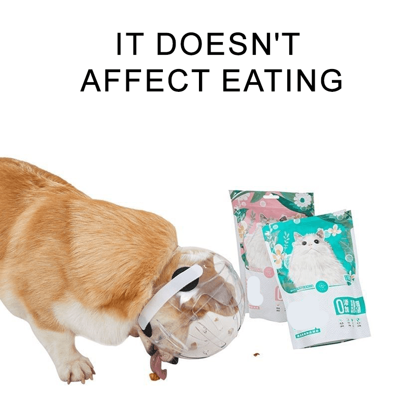 Adjustable Dogs Anti - Bite Space Helmet - PIKAPIKA