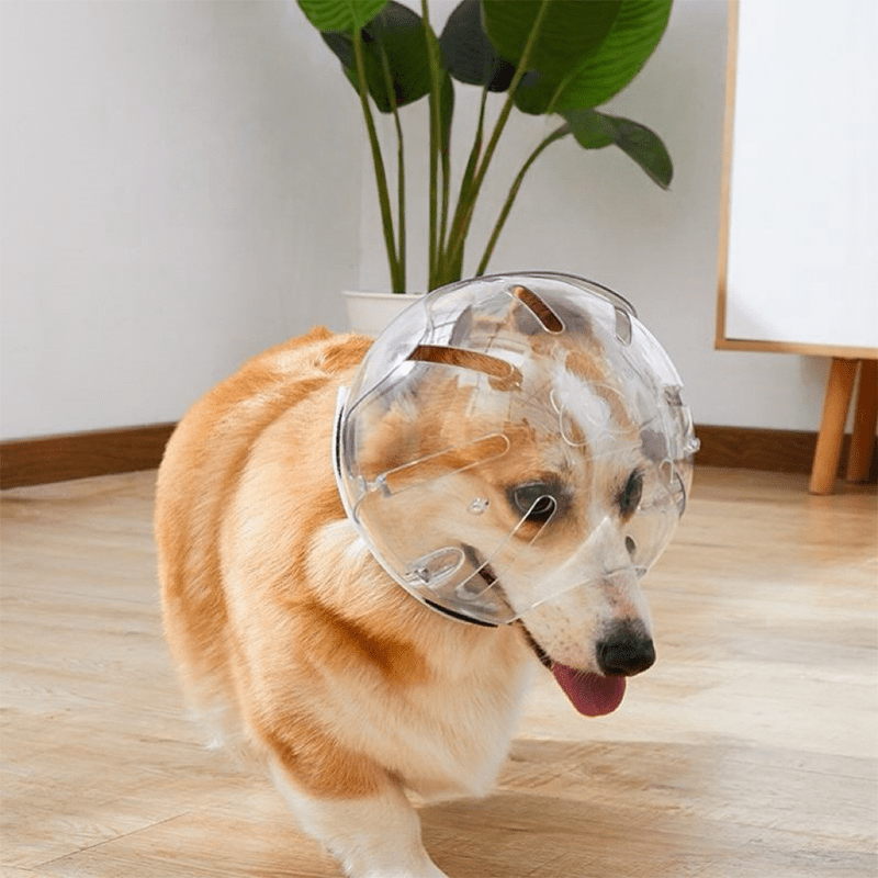Adjustable Dogs Anti - Bite Space Helmet - PIKAPIKA