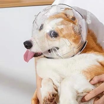Adjustable Dogs Anti - Bite Space Helmet - PIKAPIKA
