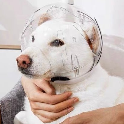 Adjustable Dogs Anti - Bite Space Helmet - PIKAPIKA