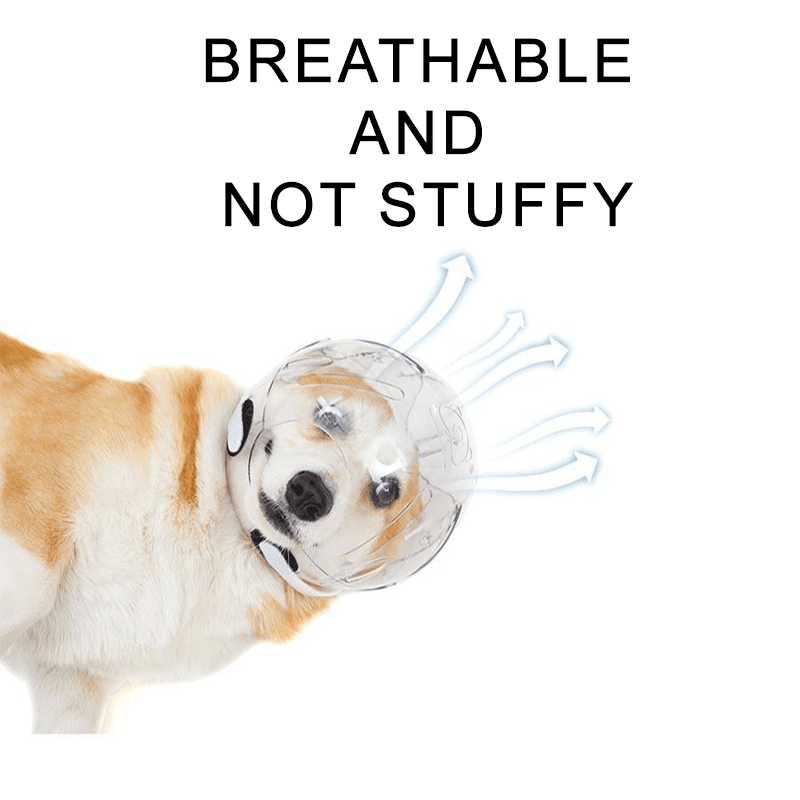 Adjustable Dogs Anti - Bite Space Helmet - PIKAPIKA