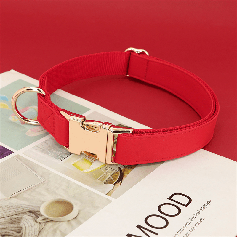 Adjustable Engraved Dog Collar Anti - Loss with Leash for Medium & Large Dogs - PIKAPIKA