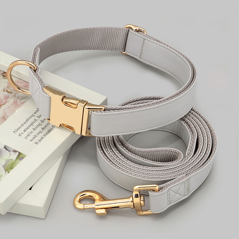 Adjustable Engraved Dog Collar Anti - Loss with Leash for Medium & Large Dogs - PIKAPIKA