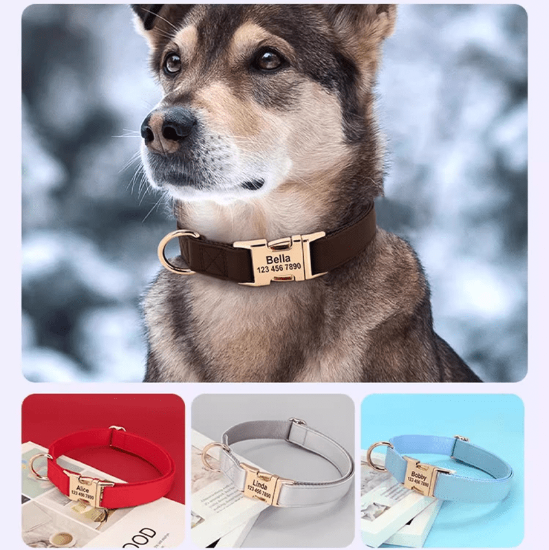 Adjustable Engraved Dog Collar Anti - Loss with Leash for Medium & Large Dogs - PIKAPIKA